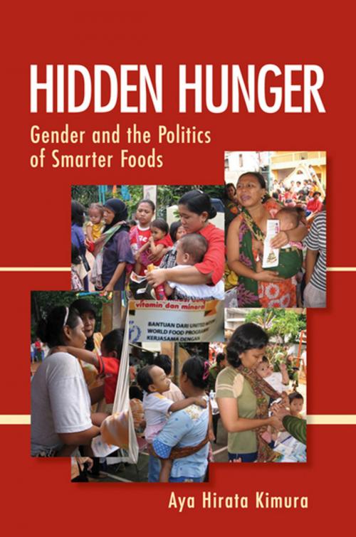 Cover of the book Hidden Hunger by Aya Hirata Kimura, Cornell University Press