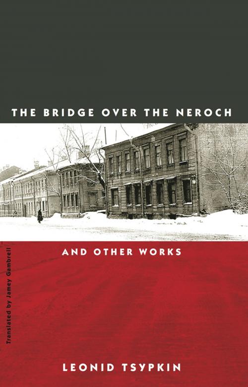 Cover of the book The Bridge Over the Neroch: And Other Works by Leonid Tsypkin, New Directions