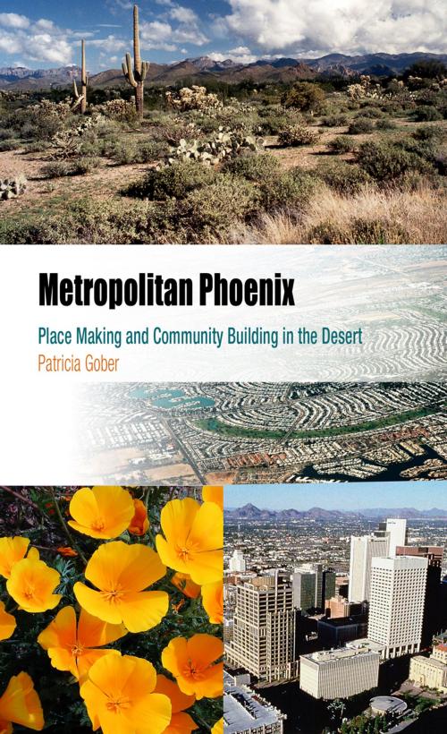 Cover of the book Metropolitan Phoenix by Patricia Gober, University of Pennsylvania Press, Inc.