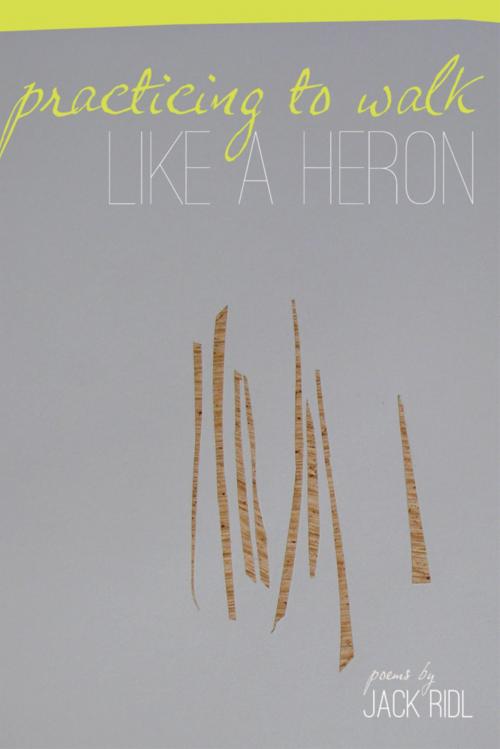 Cover of the book Practicing to Walk Like a Heron by Jack Ridl, Wayne State University Press