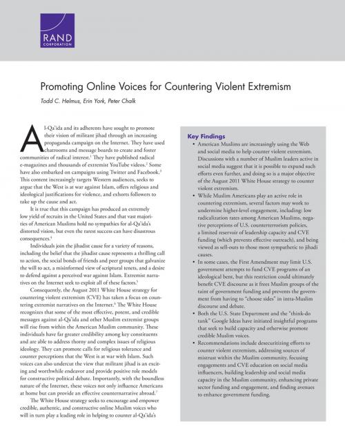 Cover of the book Promoting Online Voices for Countering Violent Extremism by Todd C. Helmus, Erin York, Peter Chalk, RAND Corporation