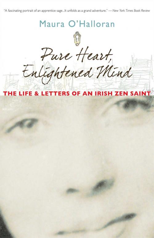 Cover of the book Pure Heart, Enlightened Mind by Maura O'Halloran, Wisdom Publications