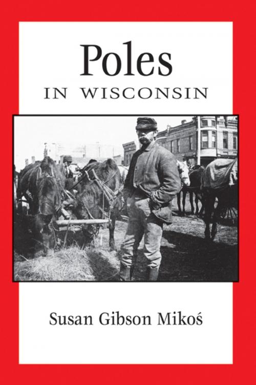 Cover of the book Poles in Wisconsin by Susan Gibson Mikos, Wisconsin Historical Society Press
