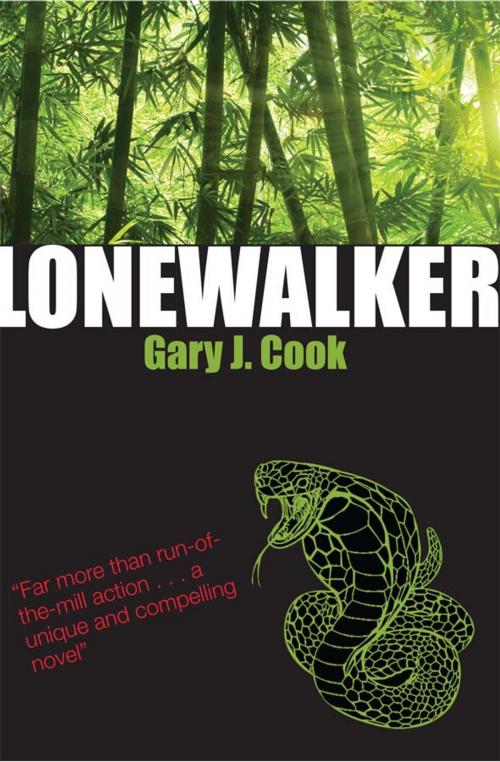 Cover of the book Lonewalker by Gary J. Cook, Inari Publishing