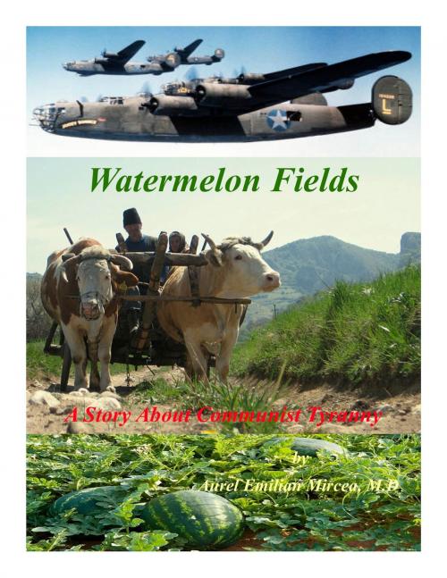 Cover of the book Watermelon Fields by Aurel Emilian Mircea, M.D., BookBaby