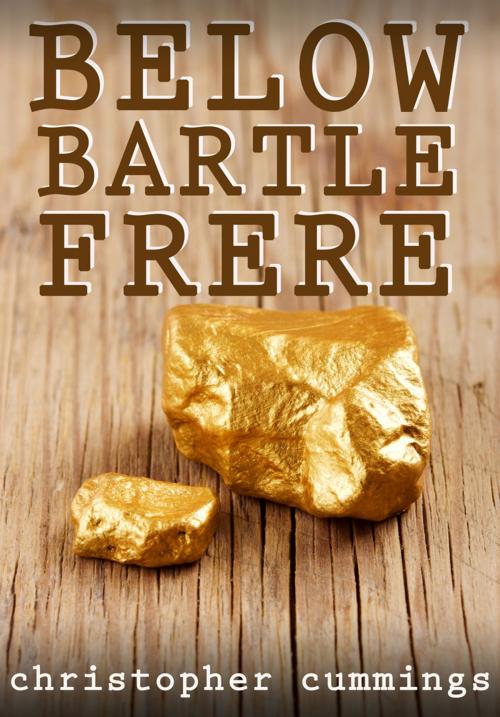 Cover of the book Below Bartle Frere by Christopher Cummings, DoctorZed Publishing