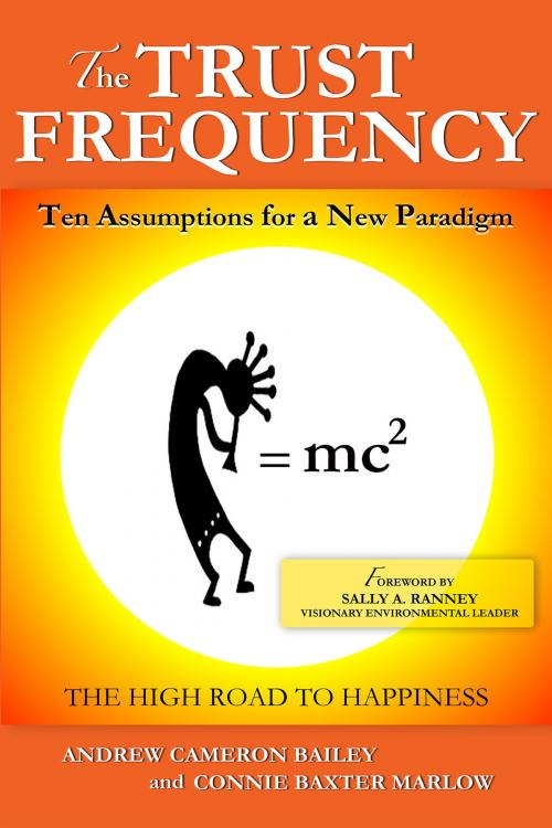 Cover of the book The Trust Frequency: Ten Assumptions For A New Paradigm by Andrew Cameron Bailey, Andrew Cameron Bailey