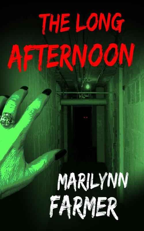 Cover of the book The Long Afternoon by Marilynn Farmer, Marilynn Farmer