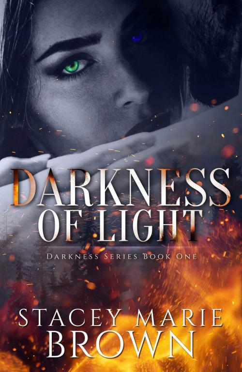 Cover of the book Darkness Of Light (Darkness Series #1) by Stacey Marie Brown, Stacey Marie Brown