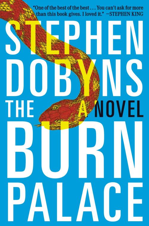 Cover of the book The Burn Palace by Stephen Dobyns, Penguin Publishing Group