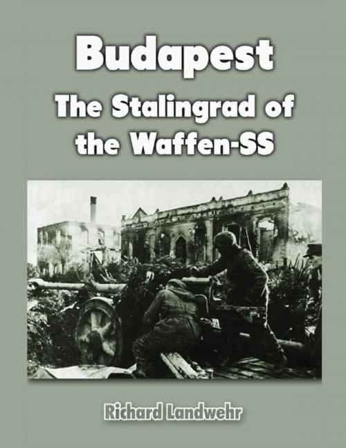 Cover of the book Budapest: The Stalingrad of the Waffen-SS by Richard Landwehr, Lulu.com