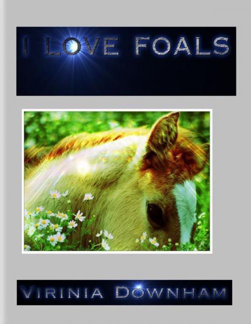Cover of the book I Love Foals by Virinia Downham, Lulu.com