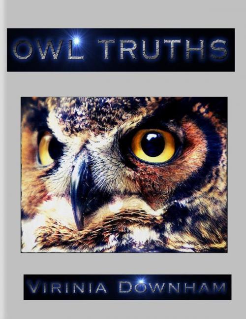 Cover of the book Owl Truths by Virinia Downham, Lulu.com