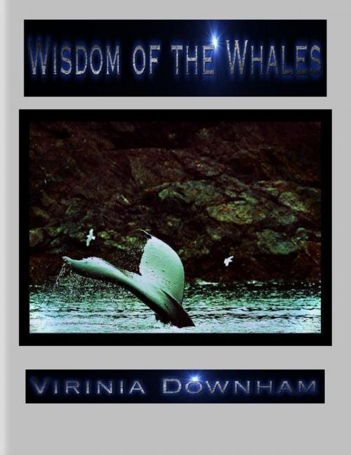 Cover of the book Wisdom of the Whales by Virinia Downham, Lulu.com