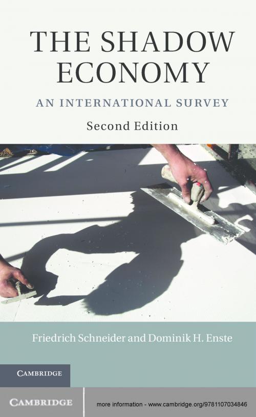 Cover of the book The Shadow Economy by Friedrich Schneider, Dominik H. Enste, Cambridge University Press