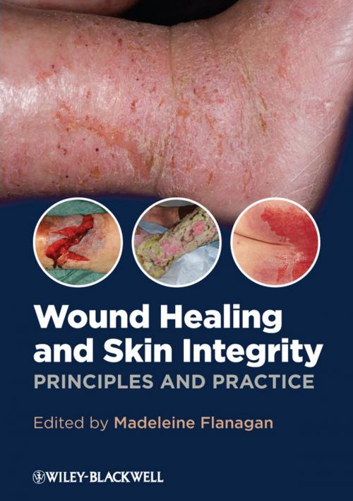 Cover of the book Wound Healing and Skin Integrity by Madeleine Flanagan, Wiley