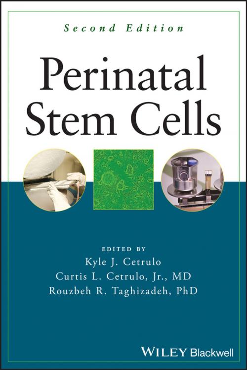 Cover of the book Perinatal Stem Cells by , Wiley