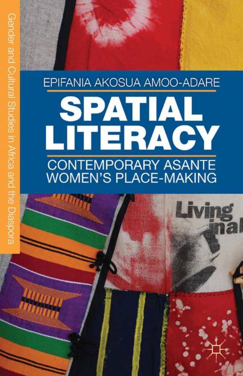Cover of the book Spatial Literacy by E. Amoo-Adare, Palgrave Macmillan US
