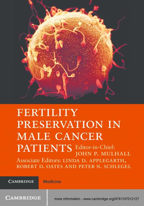 Cover of the book Fertility Preservation in Male Cancer Patients by Linda D. Applegarth, Doctor Robert D. Oates, Doctor Peter N. Schlegel, Cambridge University Press