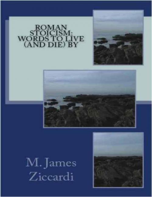 Cover of the book Roman Stoicism: Words to Live (and Die) By by M. James Ziccardi, Lulu.com
