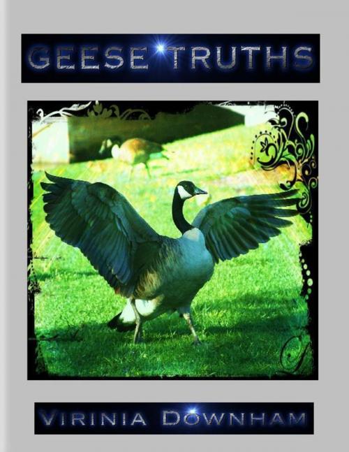 Cover of the book Geese Truths by Virinia Downham, Lulu.com
