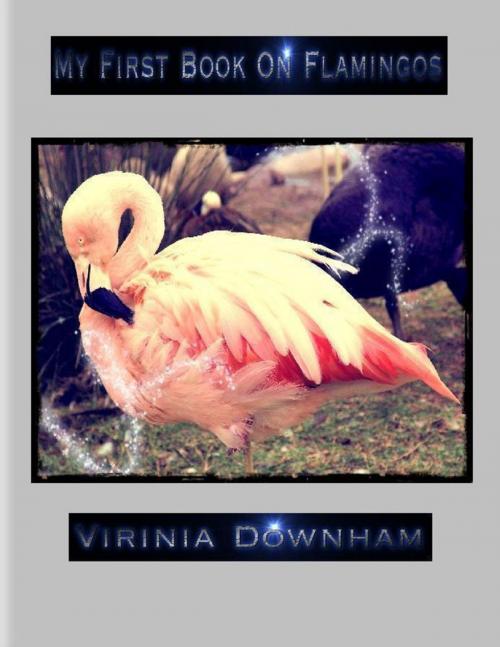 Cover of the book My First Book on Flamingos by Virinia Downham, Lulu.com