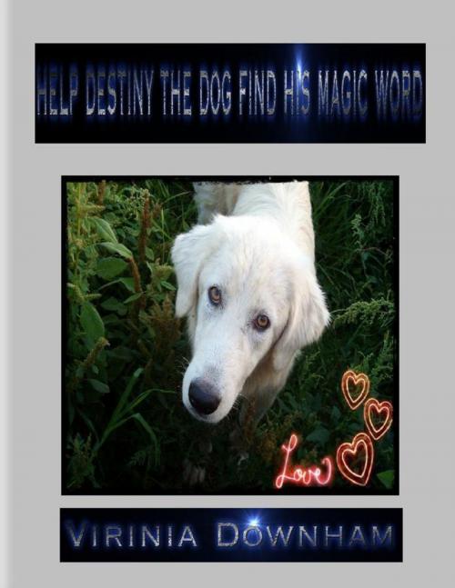Cover of the book Help Destiny the Dog Find His Magic Word by Virinia Downham, Lulu.com