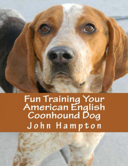 Cover of the book Fun Training Your American English Coonhound Dog by John Hampton, Lulu.com