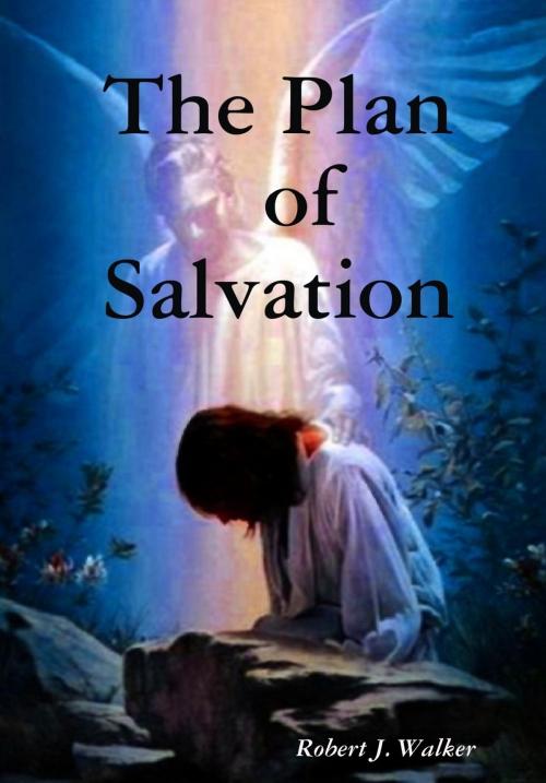 Cover of the book The Plan of Salvation by Robert J. Walker, Lulu.com