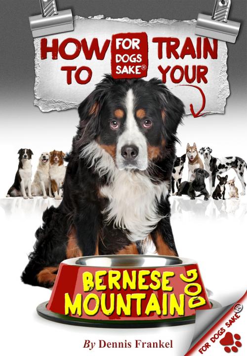 Cover of the book How to Train Your Bernese Mountain Dogs by Dennis Frankel, For Dogs Sake!