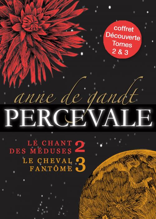 Cover of the book Percevale: Coffret Découverte by Anne de Gandt, Anne de Gandt
