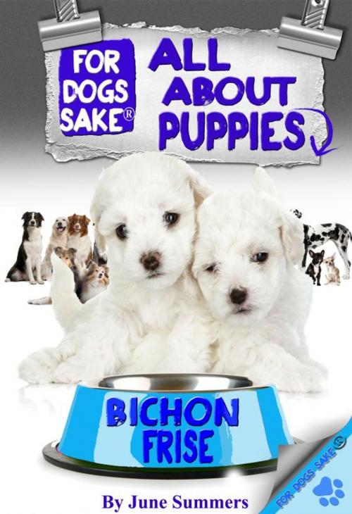 Cover of the book All About Bichon-Frise Puppies by June Summers, For Dogs Sake!