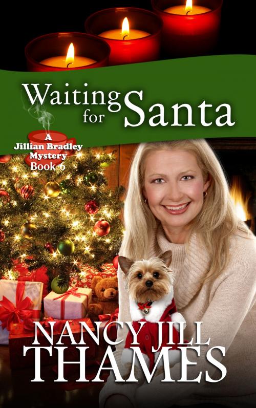 Cover of the book Waiting for Santa, Book 6 by Nancy Jill Thames, Nancy Jill Thames