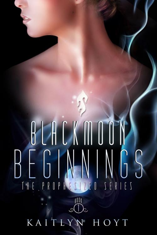 Cover of the book BlackMoon Beginnings by Kaitlyn Hoyt, Kaitlyn Hoyt