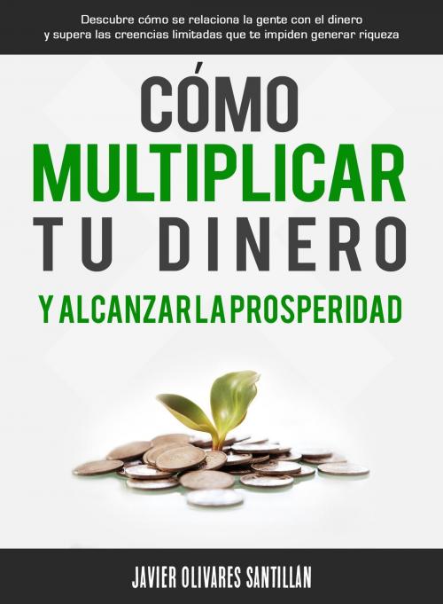 Cover of the book Cómo multiplicar tu dinero y alcanzar la prosperidad by Javier Olivares Santillán, Editorial Imagen