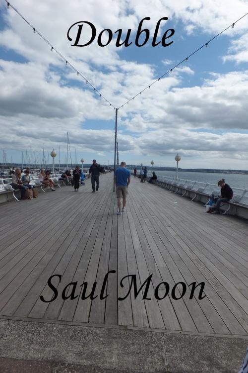 Cover of the book Double by Saul Moon, Saul Moon