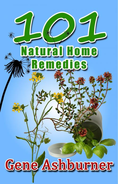 Cover of the book 101 Natural Home Remedies by Gene Ashburner, Gene Ashburner