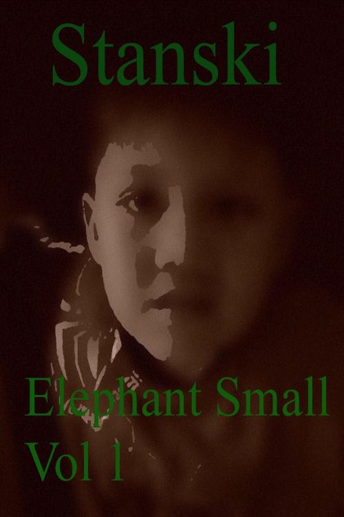 Cover of the book Elephant Small Vol 1 by Stanski, Stanski