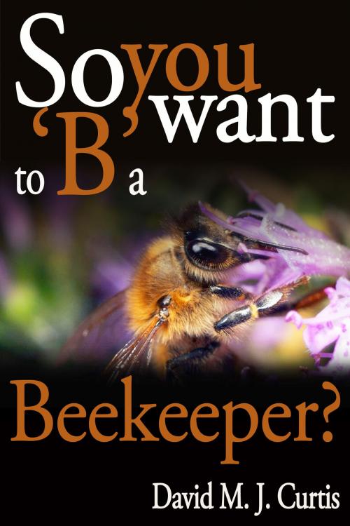 Cover of the book So you want to 'B' a Beekeeper? by David/Max Curtis, David/Max Curtis