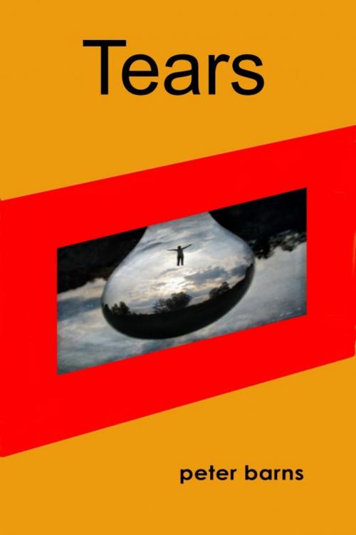 Cover of the book Tears by Peter Barns, Peter Barns