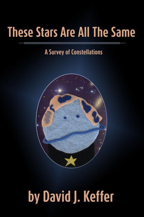Cover of the book These Stars Are All The Same: A Survey of Constellations by David Keffer, David Keffer