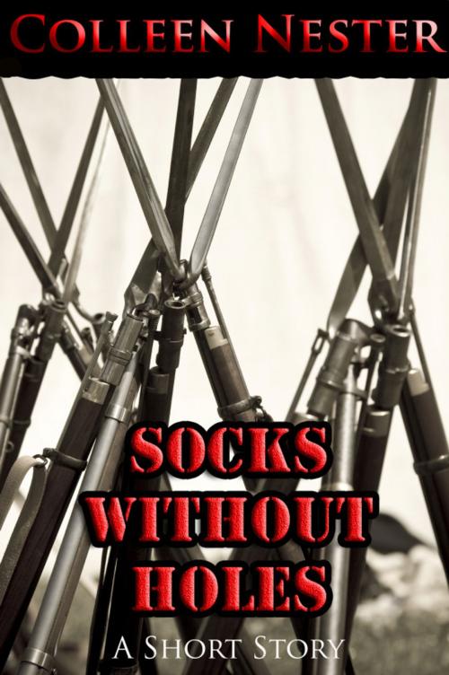 Cover of the book Socks Without Holes by Colleen Nester, Colleen Nester