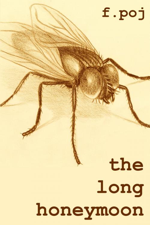 Cover of the book The Long Honeymoon by F. Poj, F. Poj