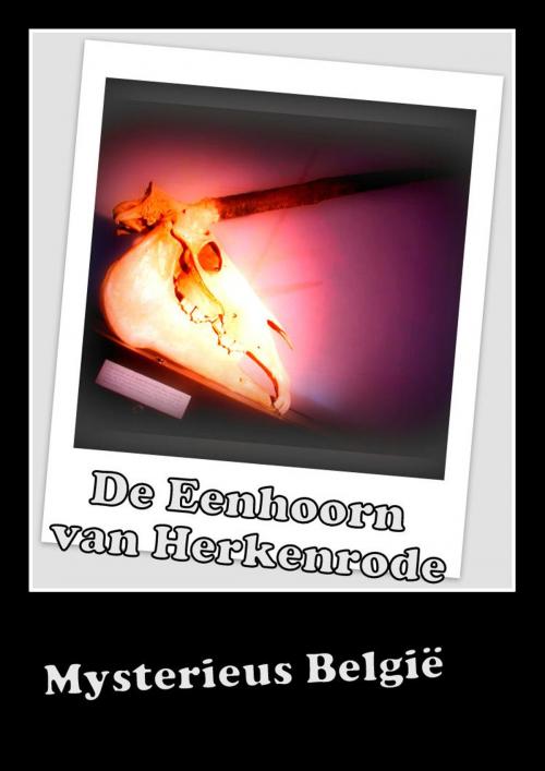 Cover of the book De Eenhoorn van Herkenrode by Mysterieus België, Storytellers