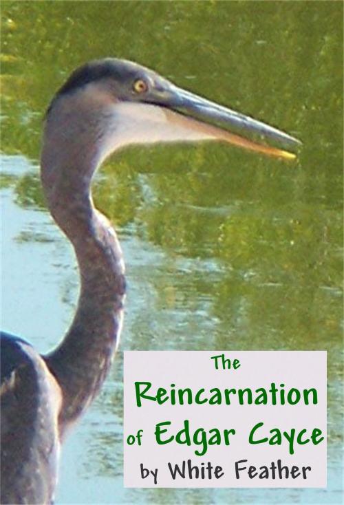 Cover of the book The Reincarnation of Edgar Cayce by White Feather, White Feather