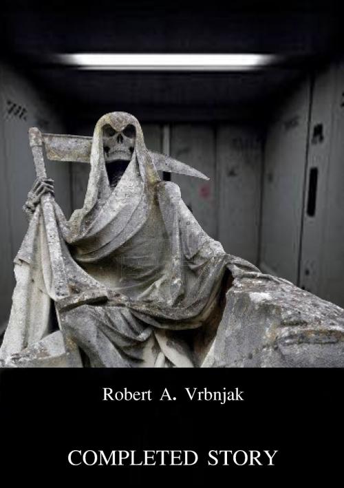 Cover of the book Completed Story by Robert Vrbnjak, Robert Vrbnjak