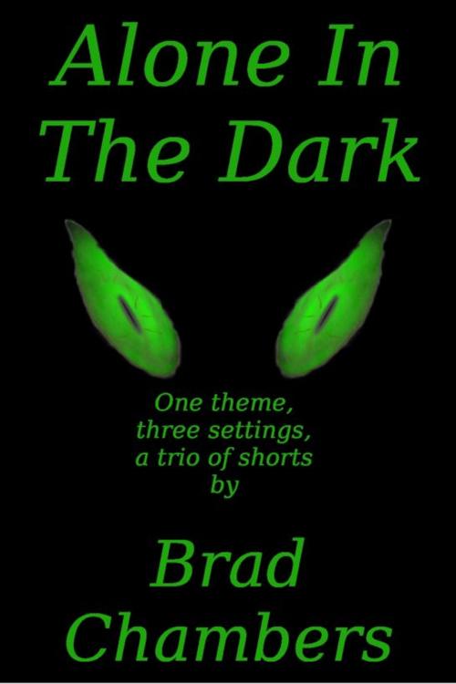 Cover of the book Alone In The Dark by Brad Chambers, Brad Chambers