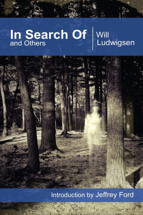 Cover of the book In Search Of and Others by Will Ludwigsen, Lethe Press