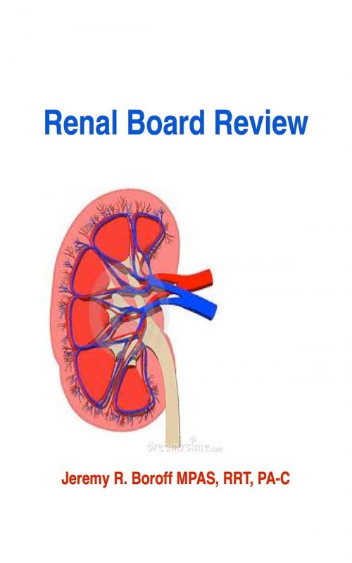 Cover of the book Renal Review by Jeremy Boroff, Jeremy Boroff