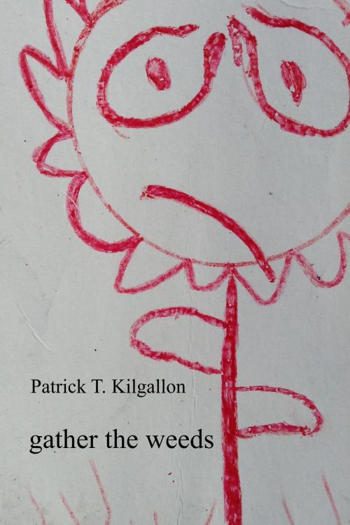 Cover of the book Gather The Weeds by Patrick T. Kilgallon, Patrick T. Kilgallon